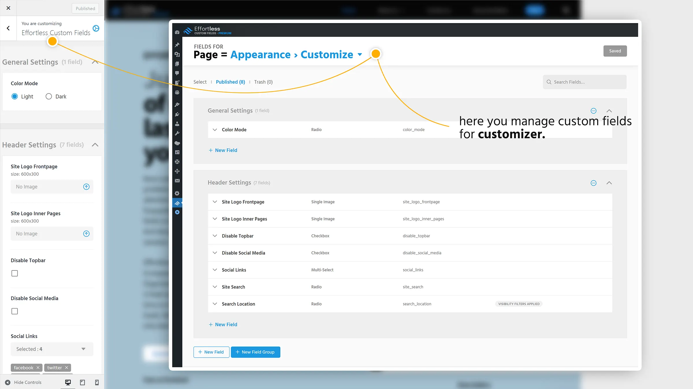 Effortless Custom Fields — fields for customizer mapped